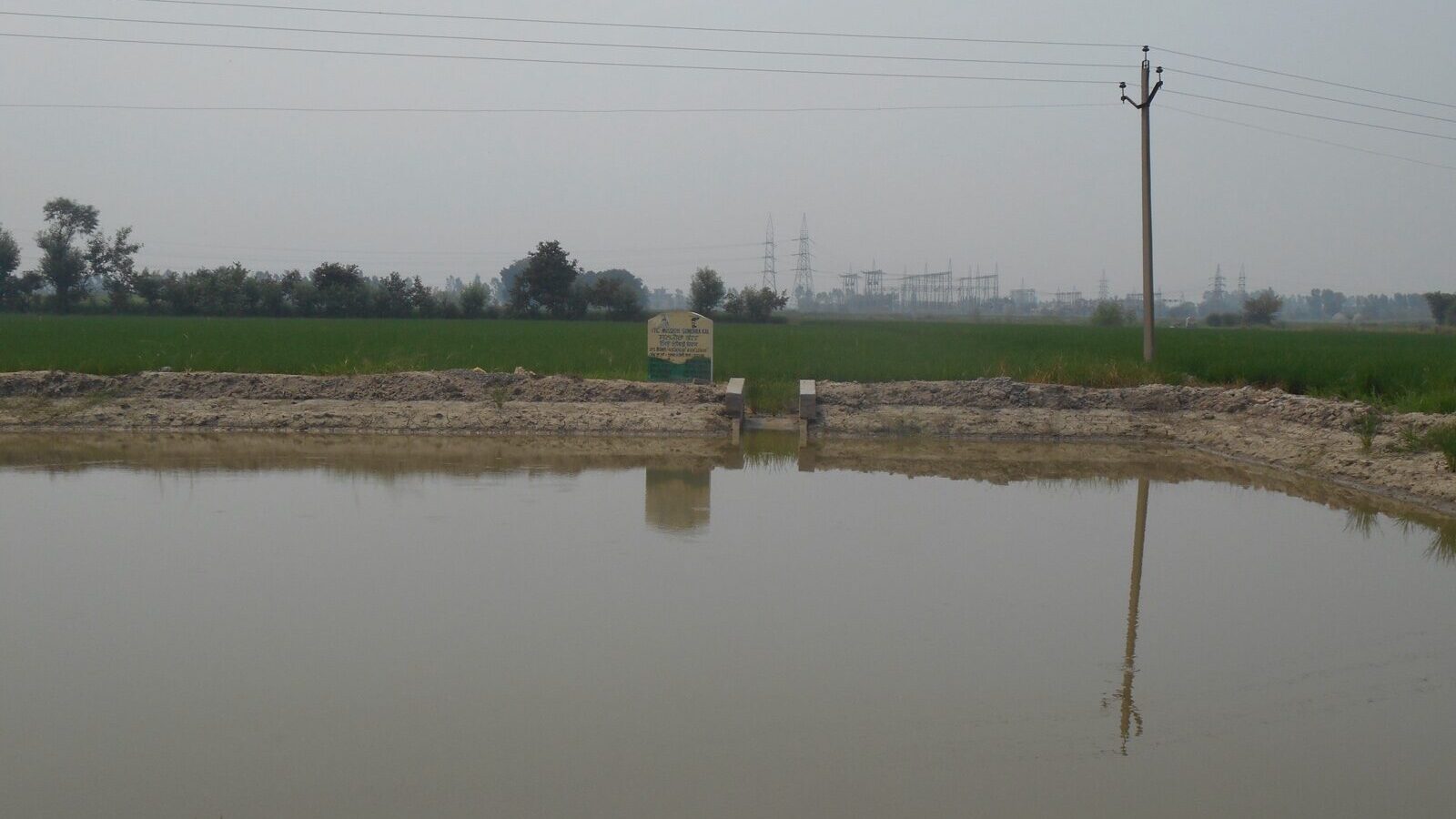 A percolation tank holding monsoon runoff so it can soak down into the aquifer
