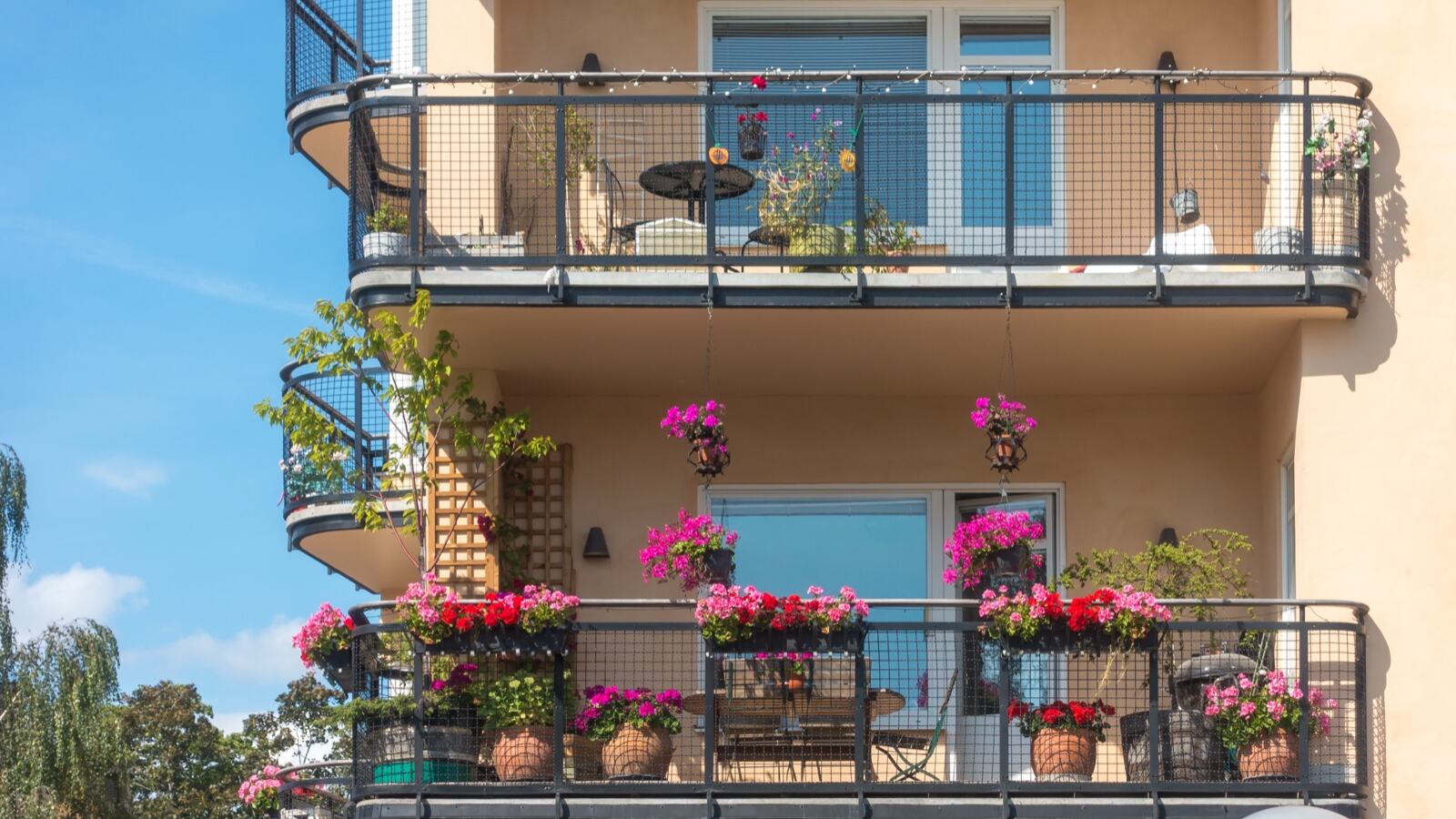 A balcony with mixed vegetables, herbs and a dwarf fruit tree in large containers