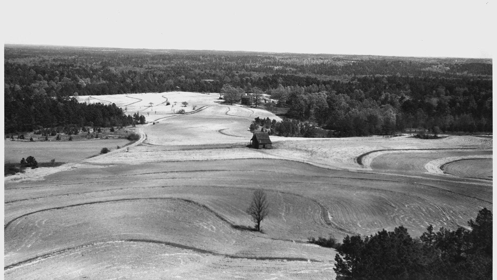 A low line of stones running along the contour of a gently sloping dryland field