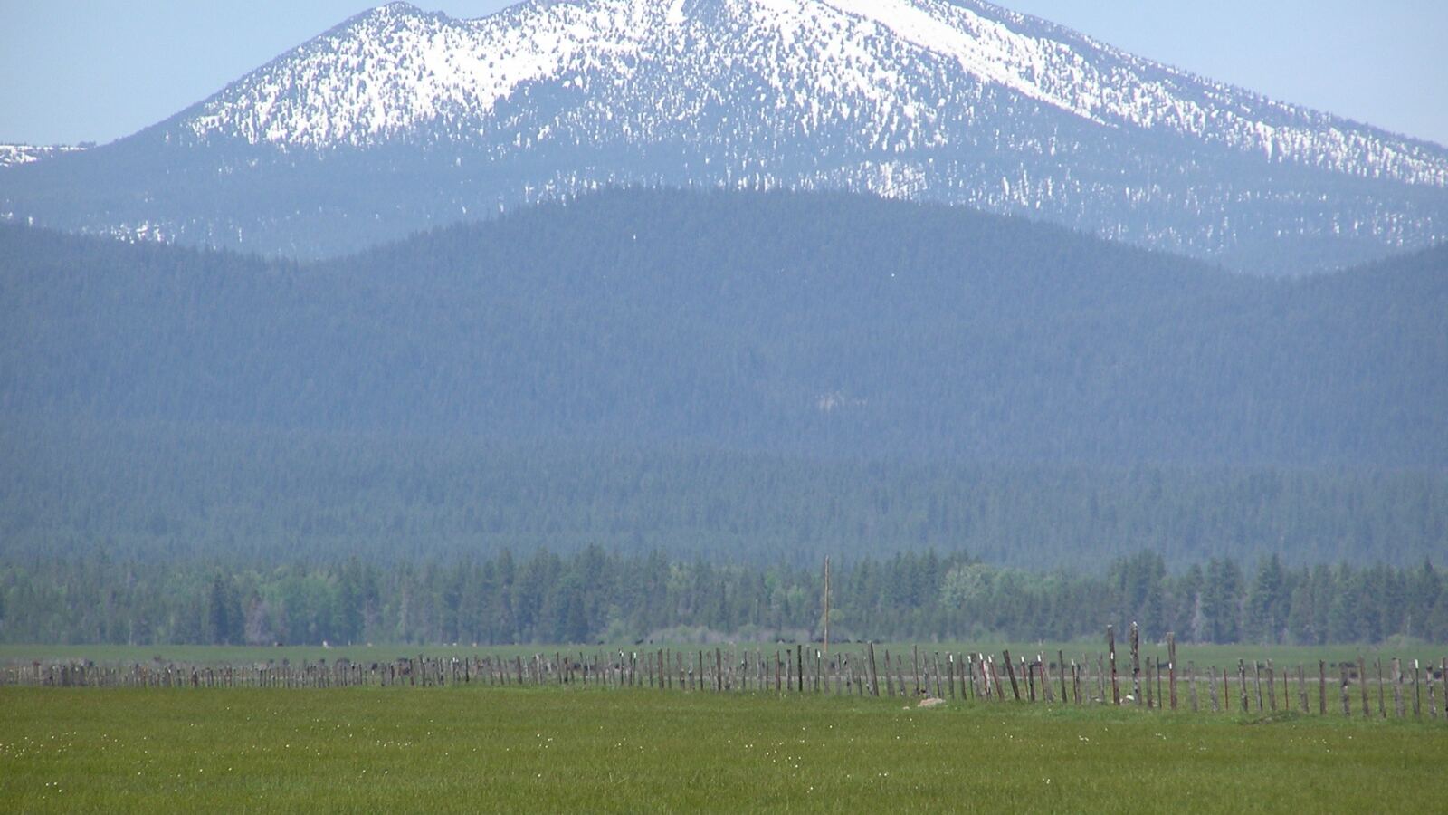 A forested watershed supplying clean water to a valley below