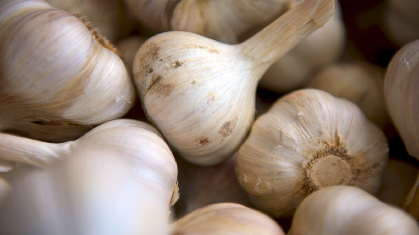 A cured garlic bulb split to show the cloves around the central stem