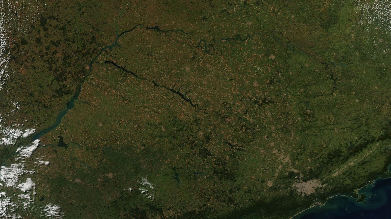 A small forest fragment isolated in a sea of farmland