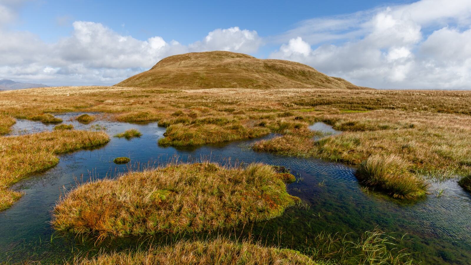 Blanket bog with pool systems and sphagnum moss recovering after ditch blocking