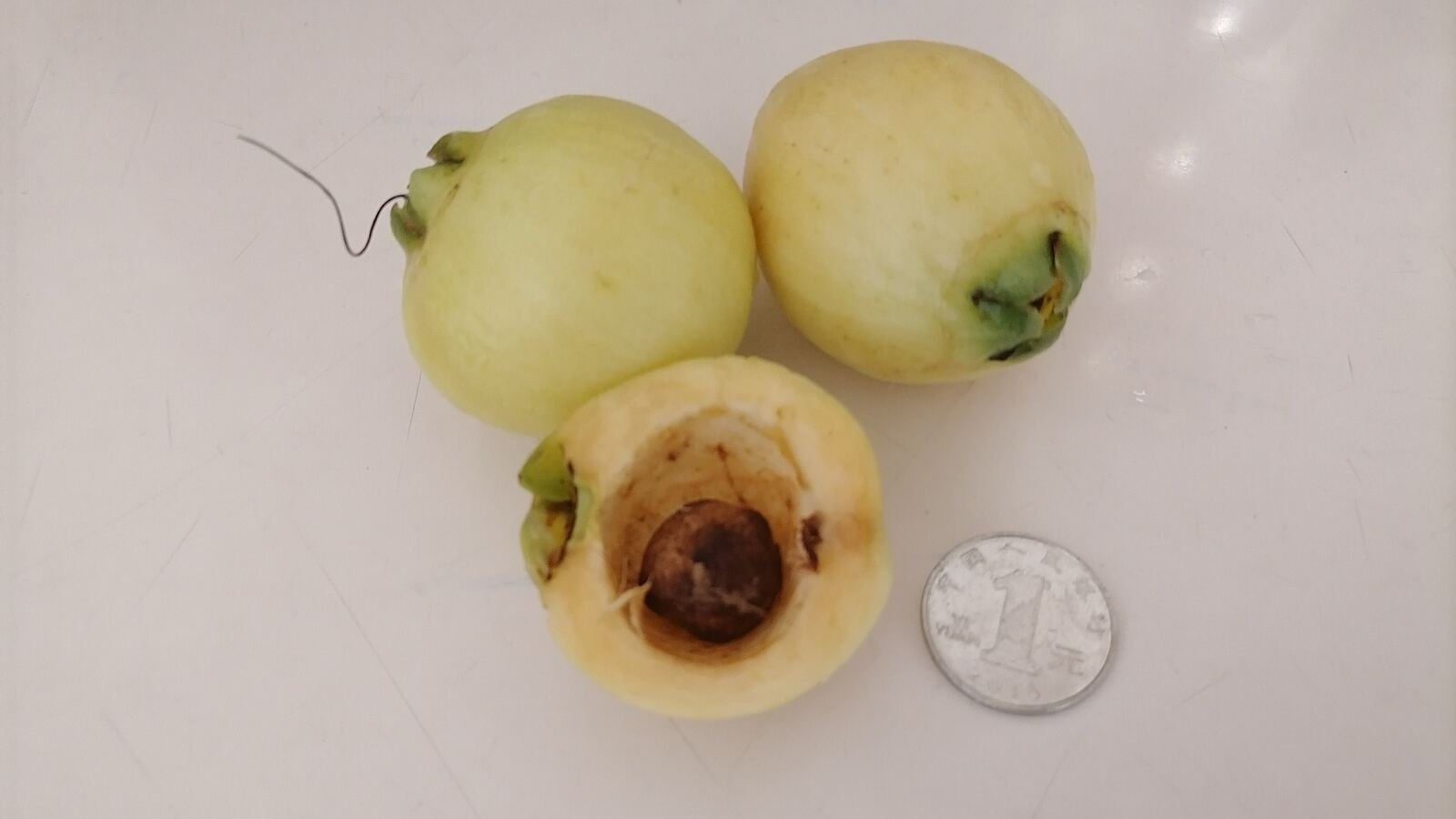 Pale rose apples and dark purple jambolan fruit on their branches