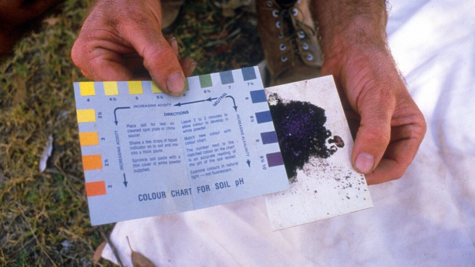A soil pH test showing a colour reading against a comparison chart in the field