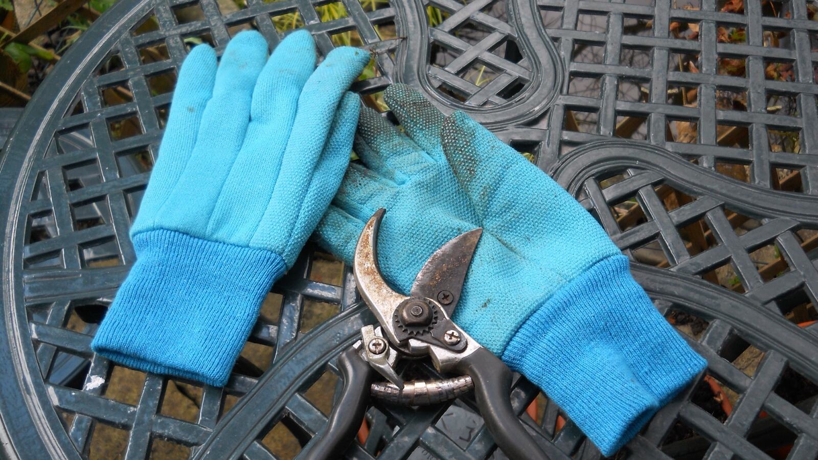 Well-maintained hand tools with a sharpening stone, oil and secateurs on a bench