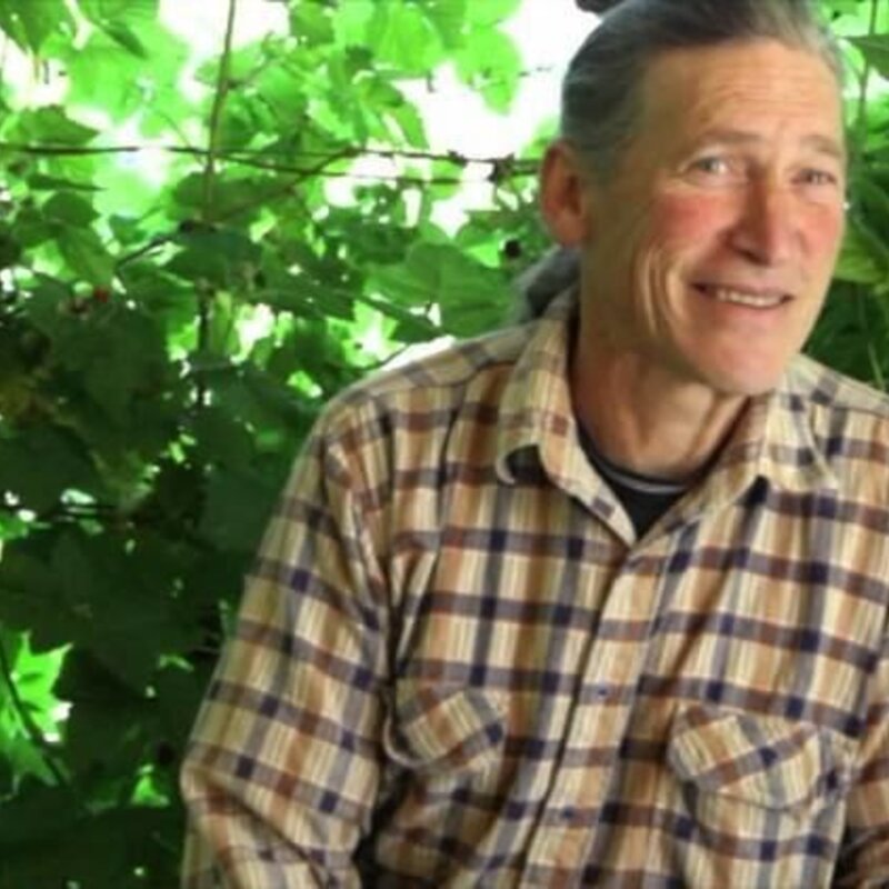 Portrait of David Holmgren
