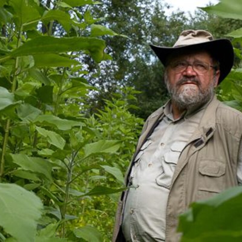 Portrait of Sepp Holzer